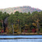 Lake Tillery from Morrow Mtn. State Park (looking NE)