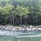Tygart River 2