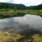 Pleasant Creek