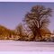 Walking on frozen Buckhannon River