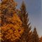 Fall