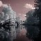 Buckhannon River "In Infrared"