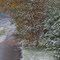 First Snow