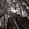 Old quarry, Berkeley Springs, WV