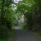 Old Western Maryland Railroad Right of Way