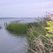 Ape Hole Creek, Pocomoke Sound, Chesapeake Bay, near Crisfield, Maryland