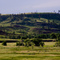 Rolling hills near Devils Tower