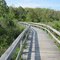 Hammock Hills Boardwalk