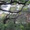 Springer Point Nature Preserve