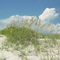 Sea Oats at Ocracoke National Seashore, NC