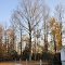 VIRGINIA: NEW KENT COUNTY: QUINTON: St. Elizabeth Ann Seton Catholic Parish, 2361 Pocahontas Trail (U.S. Route 60) tree to the south