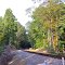 VIRGINIA: HANOVER COUNTY: MECHANICSVILLE: tracks to the forest from the level crossing on Dispatch Road (S.R. 613)