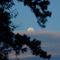Moon at work