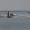 Sound meets the ocean fishing