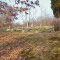 Whiteley Chapel Cemetery