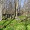 Cox Cemetery