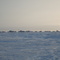 Kwigillingok