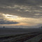 Early Morning
