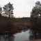 Whitesbog