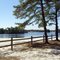 Peaceful Country Lake in the Pine Barrens