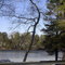 Partially frozen Mirror Lake as seen from River St.