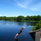 Alton Pond
