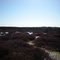 bog
