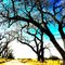 Trees on Farmland