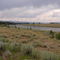 Madison River at Baker's Hole campground