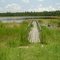 old boardwalk, Crossbar Ranch wellfield, rural Pasco County, Florida (7-2006)