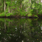 Offshoot of Crooked River