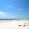 St. George Island State Park