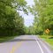Spring Drive on Highway 17