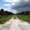 Ranch Road View