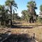 Road In The Woods