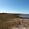 Loughman Lake Shoreline