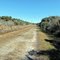 Road View