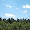 Pine View