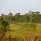 Indian River County, Florida