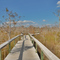 everglades florida
