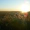 everglades sunset