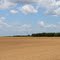 Fields