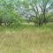 Clear Ridge Drive, $6350, 85'x130', #5-4-7