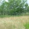 Clear Ridge Drive, $6550, 85'x135', #5-2-2