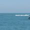 Breakers off the Cape