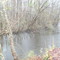 North Fork of the Edisto River