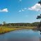 Hoskins Creek, Tappahannock, Essex County, VA.