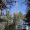 Longville Fire Tower