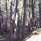 West Branch Creek, West Branch, Michigan