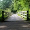 More Boardwalks